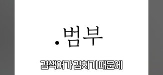 ㅇㅂ) 버튜버 스님의 팬네임 - DogDrip.Net 개드립