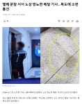 엘베 문앞 서서 노상 방뇨한 배달 기사…복도에 소변 흥건 - DogDrip.Net 개드립