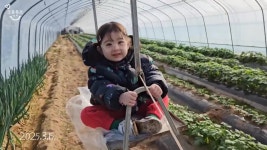 할아버지 시점 손녀딸이랑 놀아주기 - DogDrip.Net 개드립