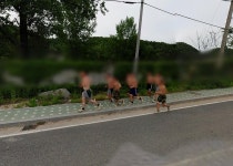 로드뷰에 찍힌 20대남자들 - DogDrip.Net 개드립