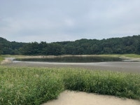 강릉 죽헌저수지 근황 - DogDrip.Net 개드립