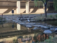 이맛에 서울삽니다 - DogDrip.Net 개드립