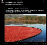 100% 크랜베리 주스는 없다는 이유 ㄷㄷ - DogDrip.Net 개드립