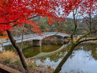 토요일 평창 월정사 왕복 - DogDrip.Net 개드립