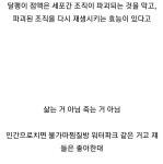 3더블유클리닉달팽이점액에이지리페어아이크림