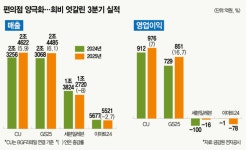 🏪 편의점 구조조정 시작됐다…세븐·이마트 부진에 남몰래 웃는 ‘빅2’ 📉 📈 - DogDrip.Net 개드립