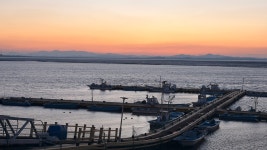 폐점늘고있는 이삭토스트.𝗝𝗣𝗚 - DogDrip.Net 개드립