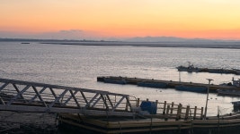 폐점늘고있는 이삭토스트.𝗝𝗣𝗚 - DogDrip.Net 개드립