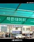 이번 정류장은 작은 대머리 입니다. - DogDrip.Net 개드립