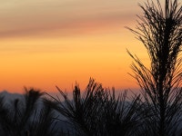 복많받 - DogDrip.Net 개드립