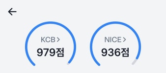 내 신용점수 이정도면 얼마쯤 되는거임? - DogDrip.Net 개드립