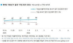 갤럽) 이재명58 개혁신당2 민주41 국힘25 조국혁신3 - DogDrip.Net 개드립