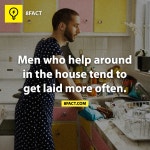 8FACT (10) - DogDrip.Net 개드립
