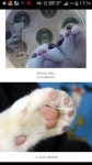 의...의사양반 이게무슨소리요 ?!! - DogDrip.Net 개드립