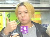 [BGM] 삼바 축제(따봉!) - DogDrip.Net 개드립