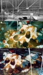 [극혐주의] 오대양 사건을 알아보자 - DogDrip.Net 개드립 [극혐주의]  오대양 사건을 알아보자 - DogDrip.Net 개드립
