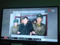 돼지를 소개하는 tv조선 - DogDrip.Net 개드립