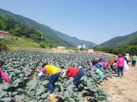 자치회관 포토갤러리(상세) | 자치회관 | 사당3동 |  포털사이트
