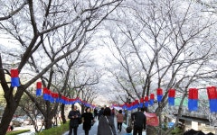 포토앨범(상세) | 동네소식 | 신대방2동 |  포털사이트