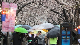 동작구청 신대방1동