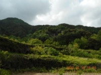 더블옥션 더블옥션 부동산경매정보