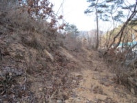 더블옥션 더블옥션 부동산경매정보