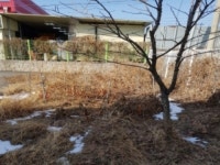 더블옥션 더블옥션 부동산경매정보