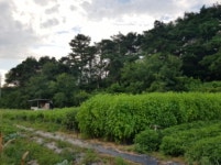 더블옥션 더블옥션 부동산경매정보