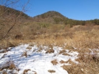 더블옥션 더블옥션 부동산경매정보