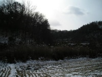 더블옥션 더블옥션 부동산경매정보