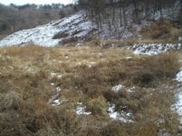 더블옥션 더블옥션 부동산경매정보