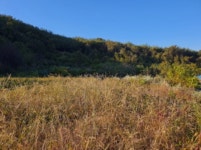 더블옥션 더블옥션 부동산경매정보