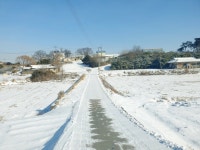 더블옥션 더블옥션 부동산경매정보