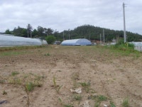 더블옥션 더블옥션 부동산경매정보