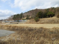 더블옥션 포항지원 2021타경429