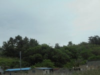 더블옥션 해남지원 2021타경51129