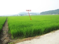 더블옥션 수원지방법원 2021타경60030