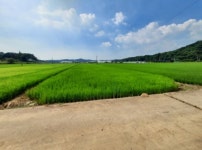 더블옥션 수원지방법원 2021타경60030