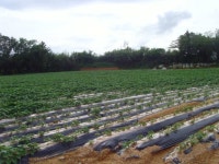 더블옥션 해남지원 2021타경51723