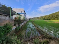 더블옥션 수원지방법원 2021타경6012