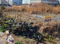 더블옥션 광주지방법원 2021타경8703