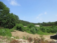 더블옥션 포항지원 2021타경32839