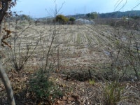 더블옥션 광주지방법원 2021타경8338