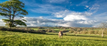 Lawrenny
