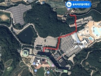 웰리힐리파크 도보 가능한 시즌방 임대 숲속의쥬얼리(공과금포함) - 시즌방, 콘도, 렌탈샵 - 닥터스파크