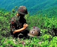 Dr. Sparks Columns - 6월에 가장 많이 보이는 사진 하나와 생각나는 두 전적지