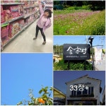 (박)예린이의 영화촬영장 방문과 파주 프로방스촌 앞 베로키오 카페 - 붓 가는 대로 [4] - 닥터스파크