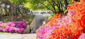 동신대학교