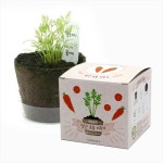 [한정특가] 팜팜농장 모종키우기 씨앗 식물기르기 가지 당근 상추 고추 강낭콩 기르기 | 레드포인트