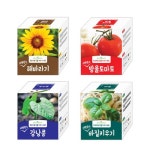 DIY 창의만들기 - 환경꾸미기 - 레드포인트